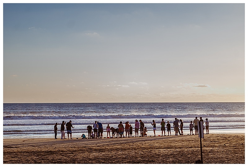 people standing on a beach in Troncones Mexico as they release the baby turtles