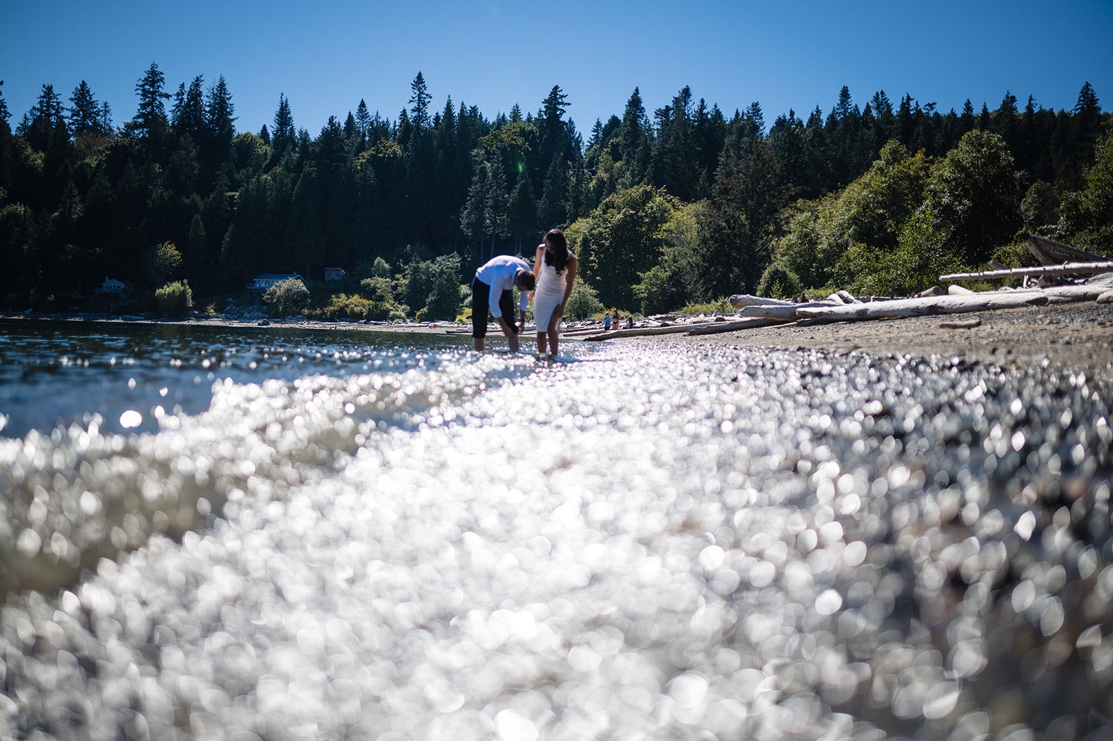 Groom rolls up his pant legs as they get their feet wet along the beach in Sargent Bay