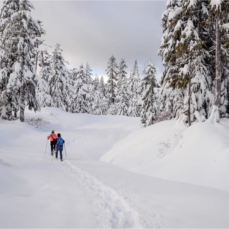 Snow shoeing at a Dakota Ridge adventure