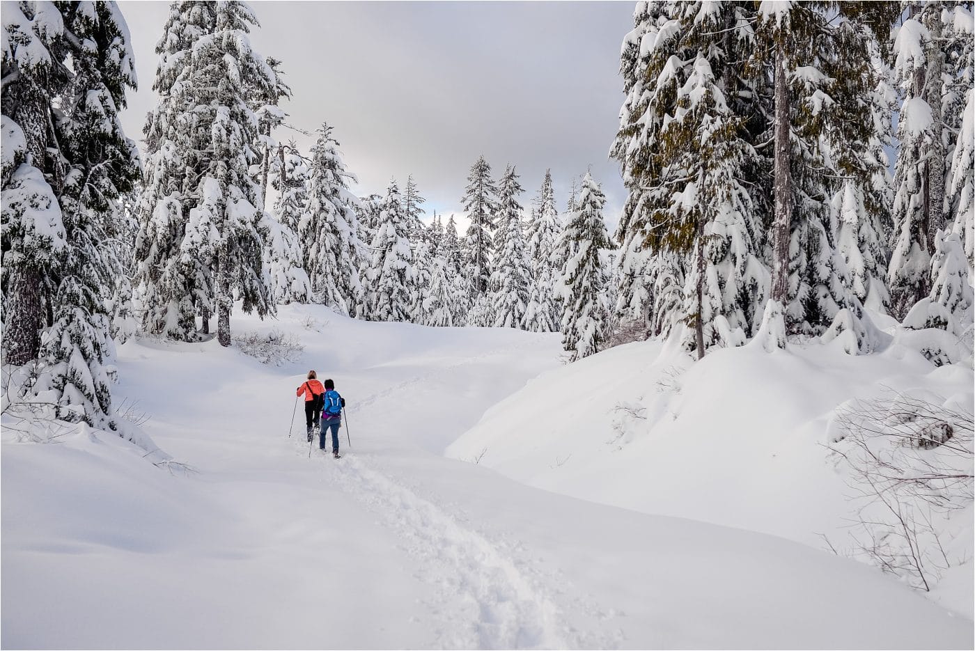 Snow shoeing at a Dakota Ridge adventure