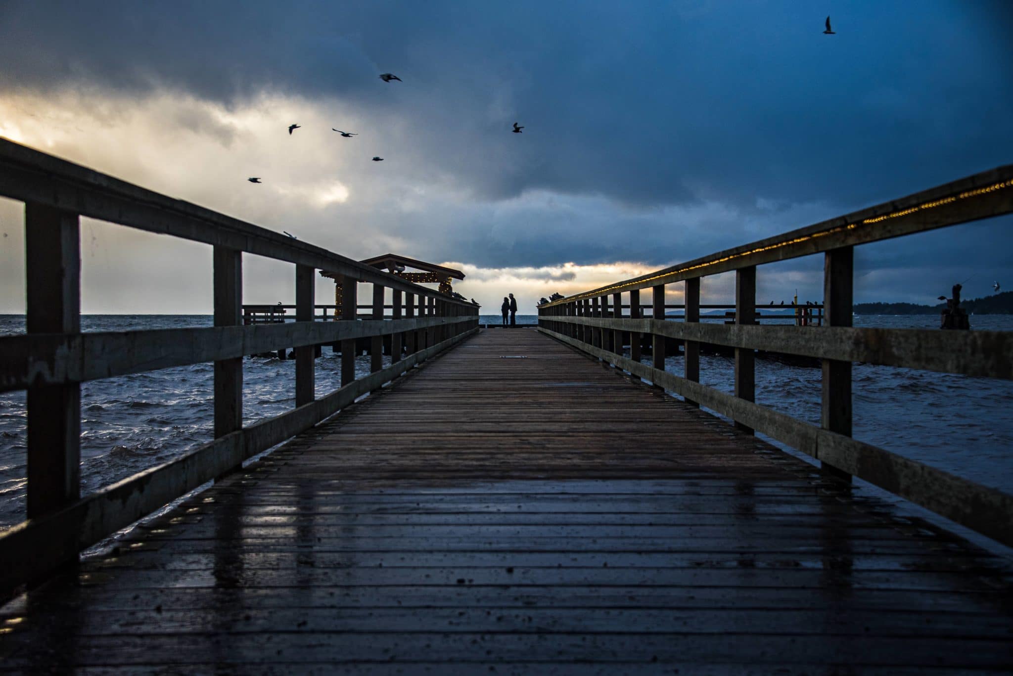 A couple Adventurers out storm watching along with the seagulls at the Historic Davis Bay Wharf