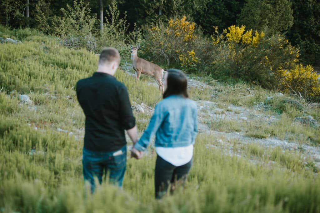young man and woman watch a deer