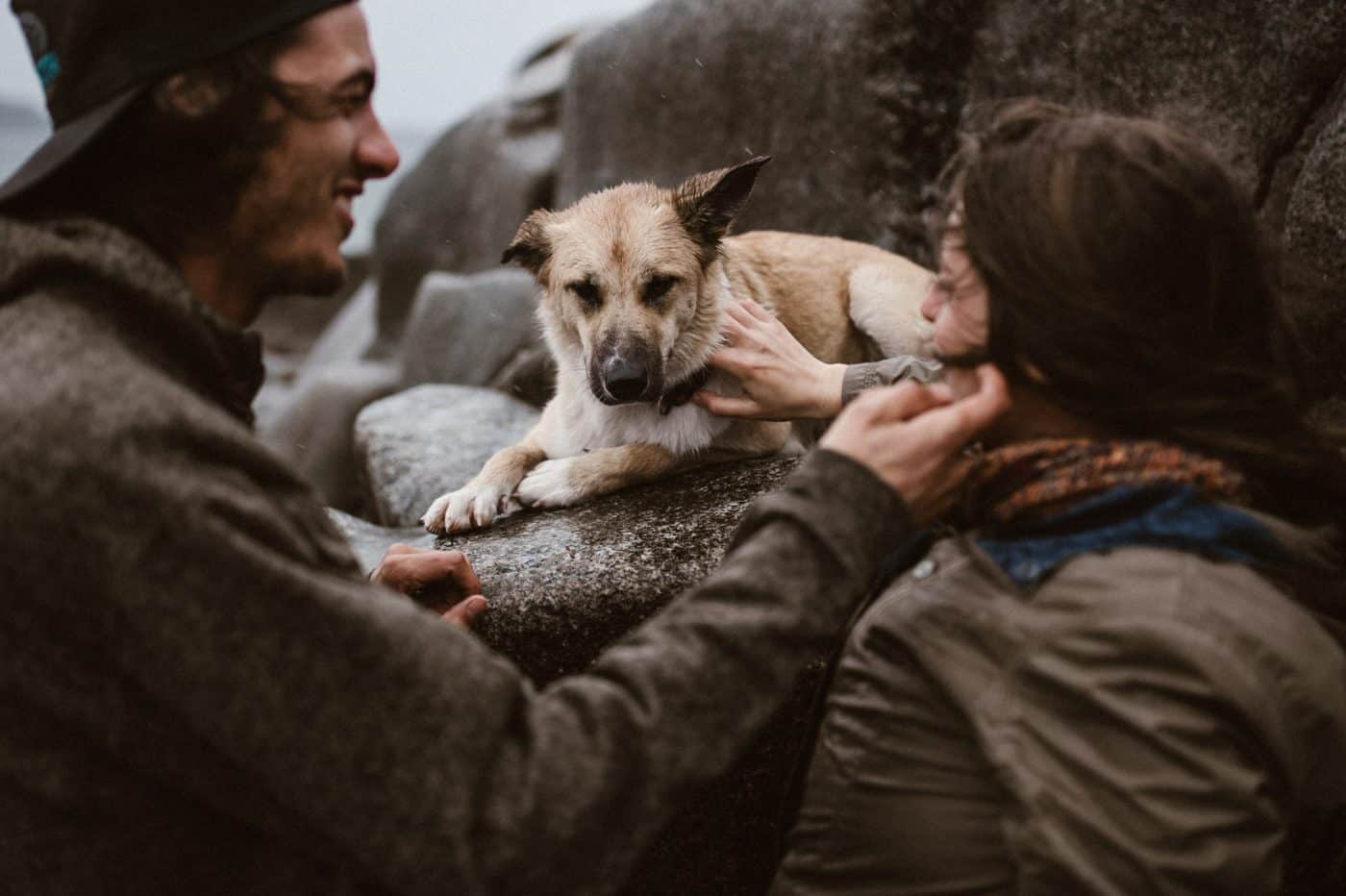 fresh air photography offers photography mentorships to show people how to photograph people with their animals like this young couple and their dog at the beach in the rain
