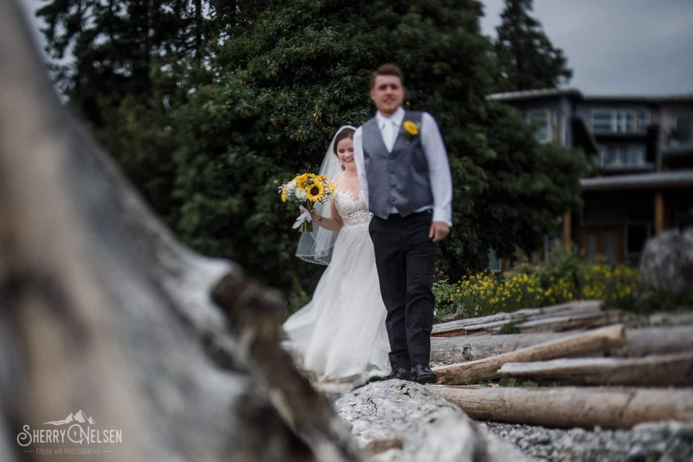 bride and groom walk along the driftwood on the beach in West Sechelt BC