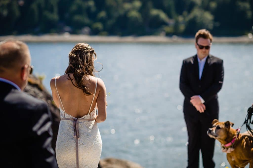 sunshine coast wedding bride looks at dog ring bearer