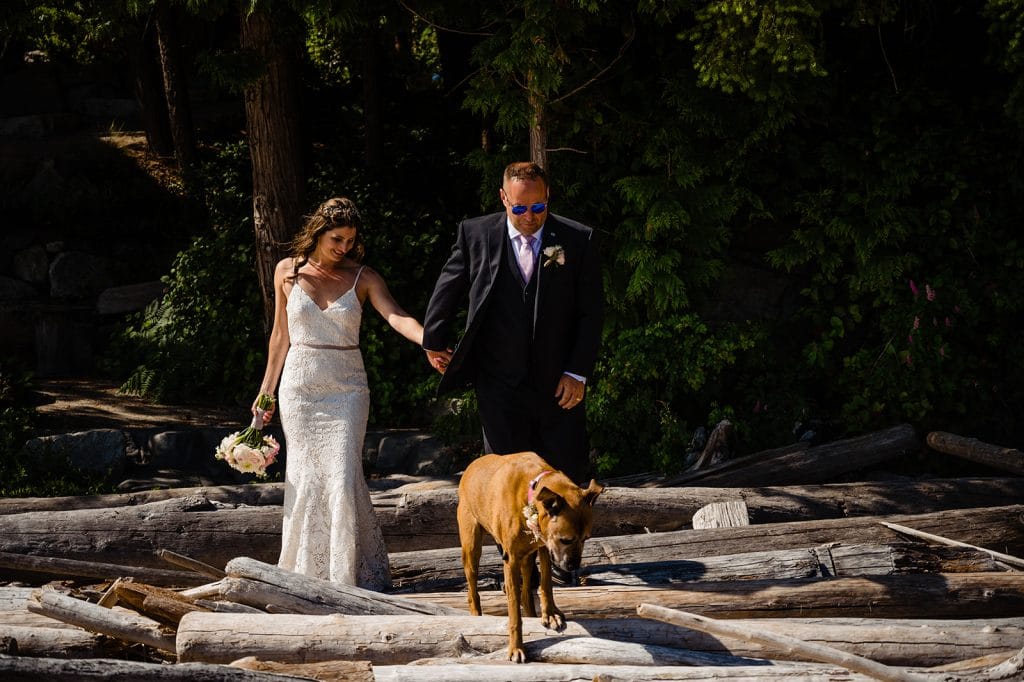 bride and groom explore sunshine coast with their dog