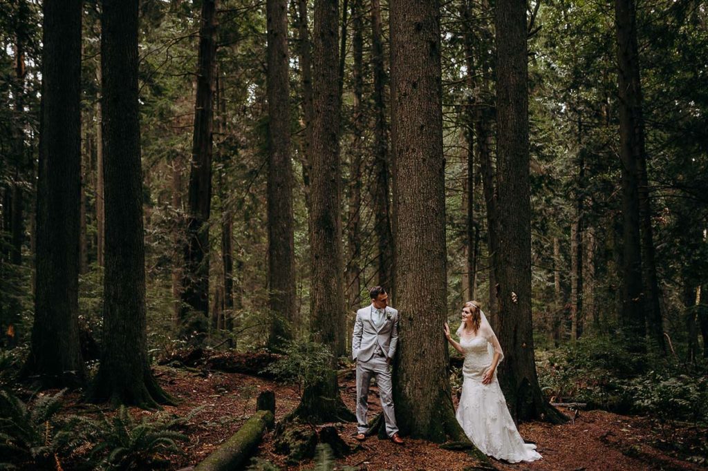 bride and groom pose with the huge trees in the forest Sunshine Coast wedding in Gibsons BC