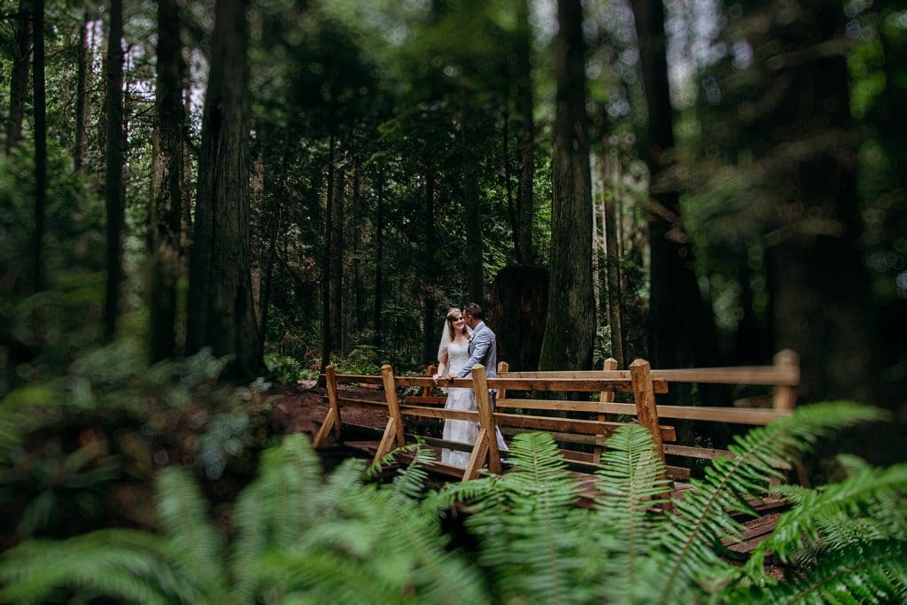 a bride and groom stand on a bridge in a rainforest during their BC Adventure Elopement with Fresh Air Photography