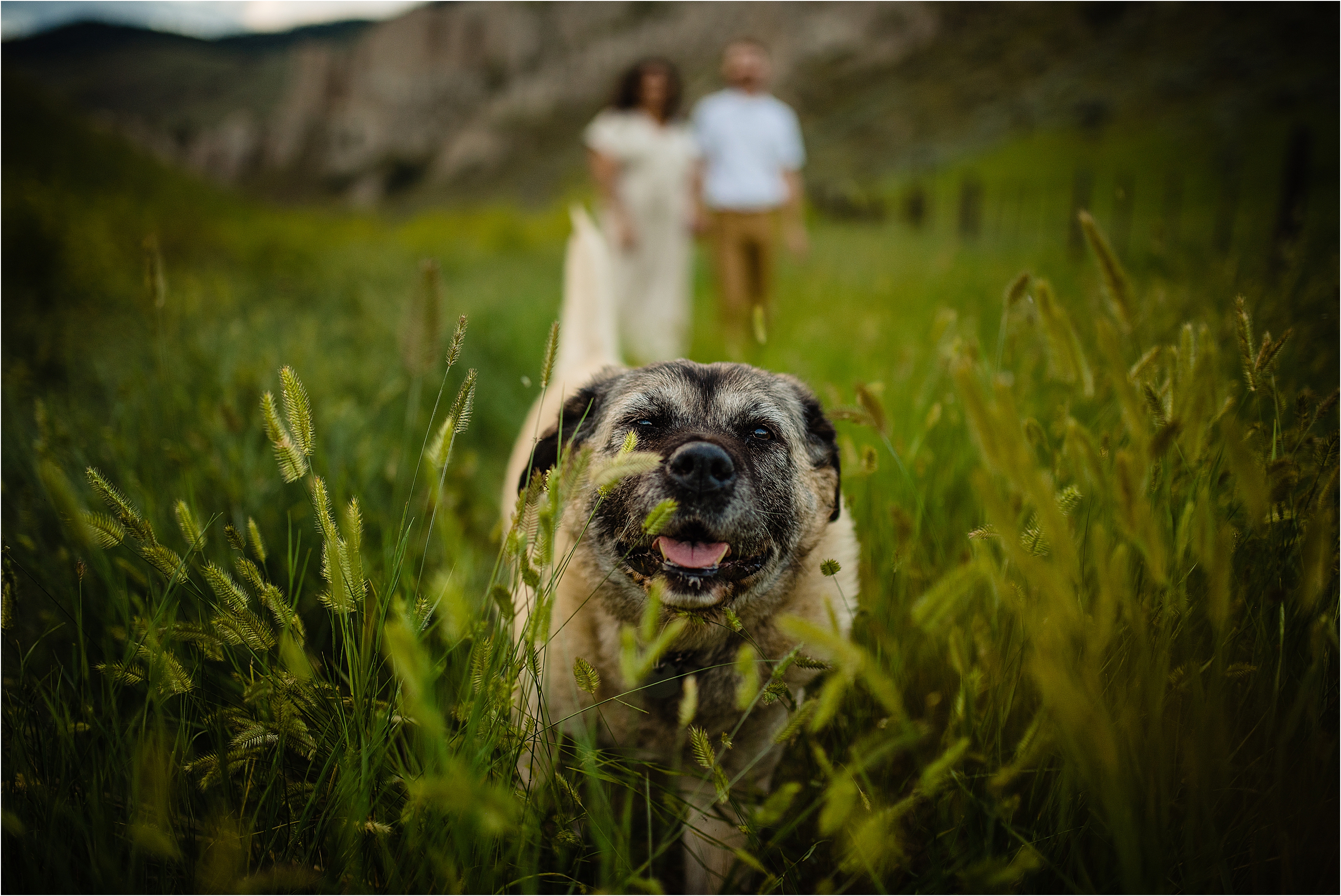 Fauve Braden hoodoos kamloops, Fauve Braden hoodoos kamloops engagement photos with their dog