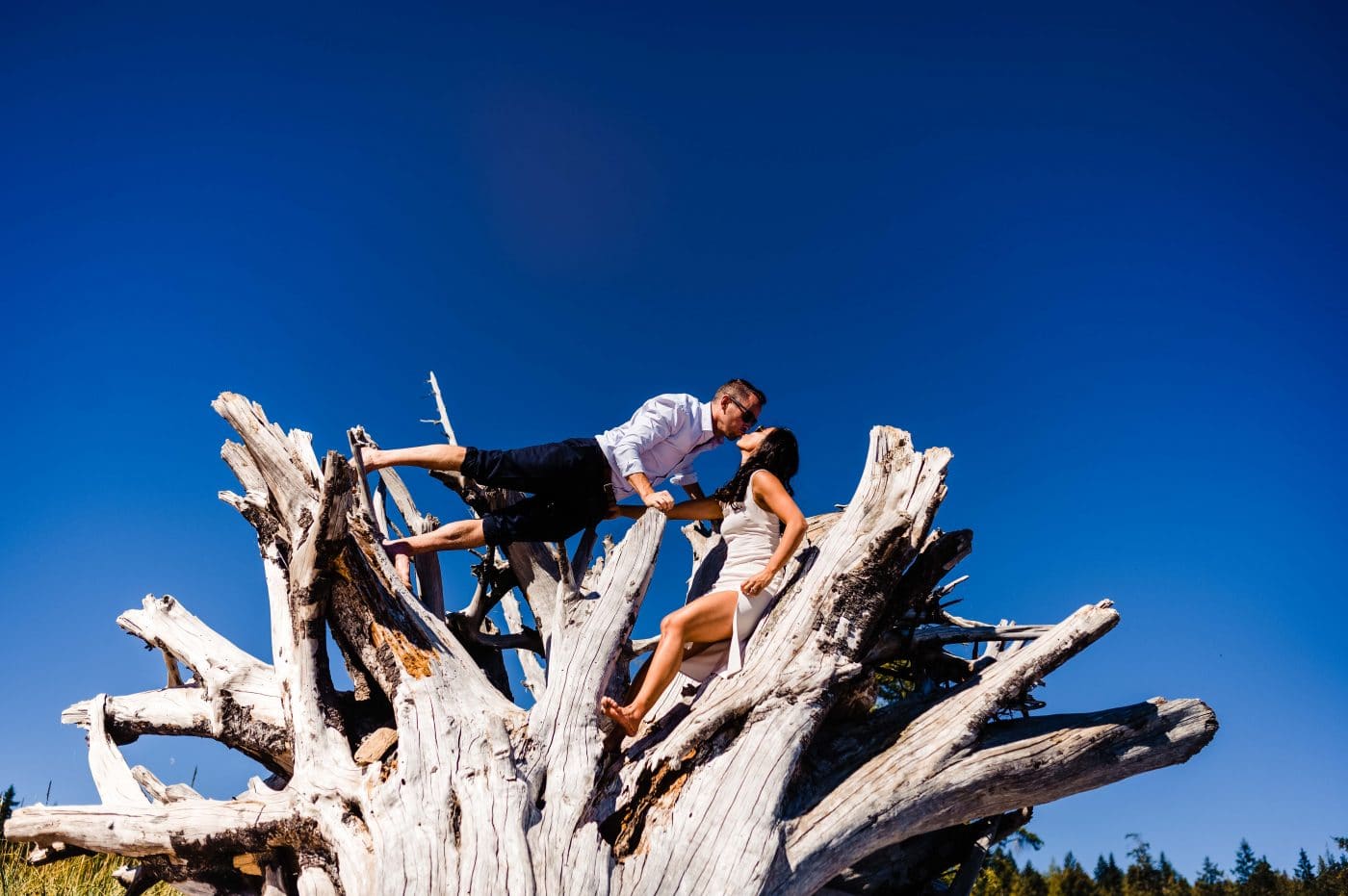 adventure husband and wife climb huge driftwood stump and steals a kiss in Sargaent Bay