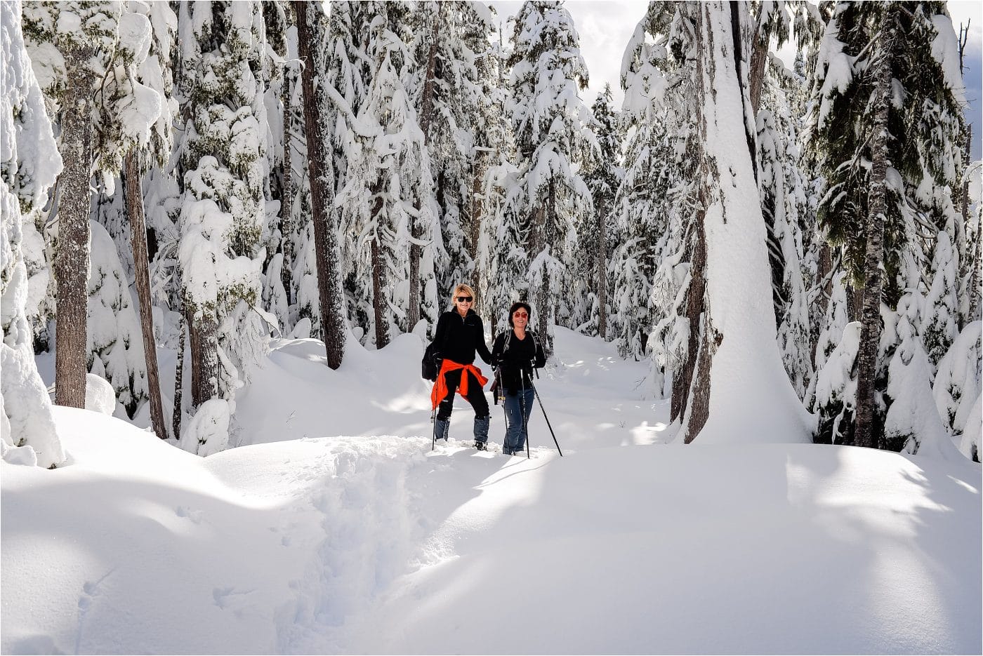 gorgeous snowy trails at Sunshine Coast BC 