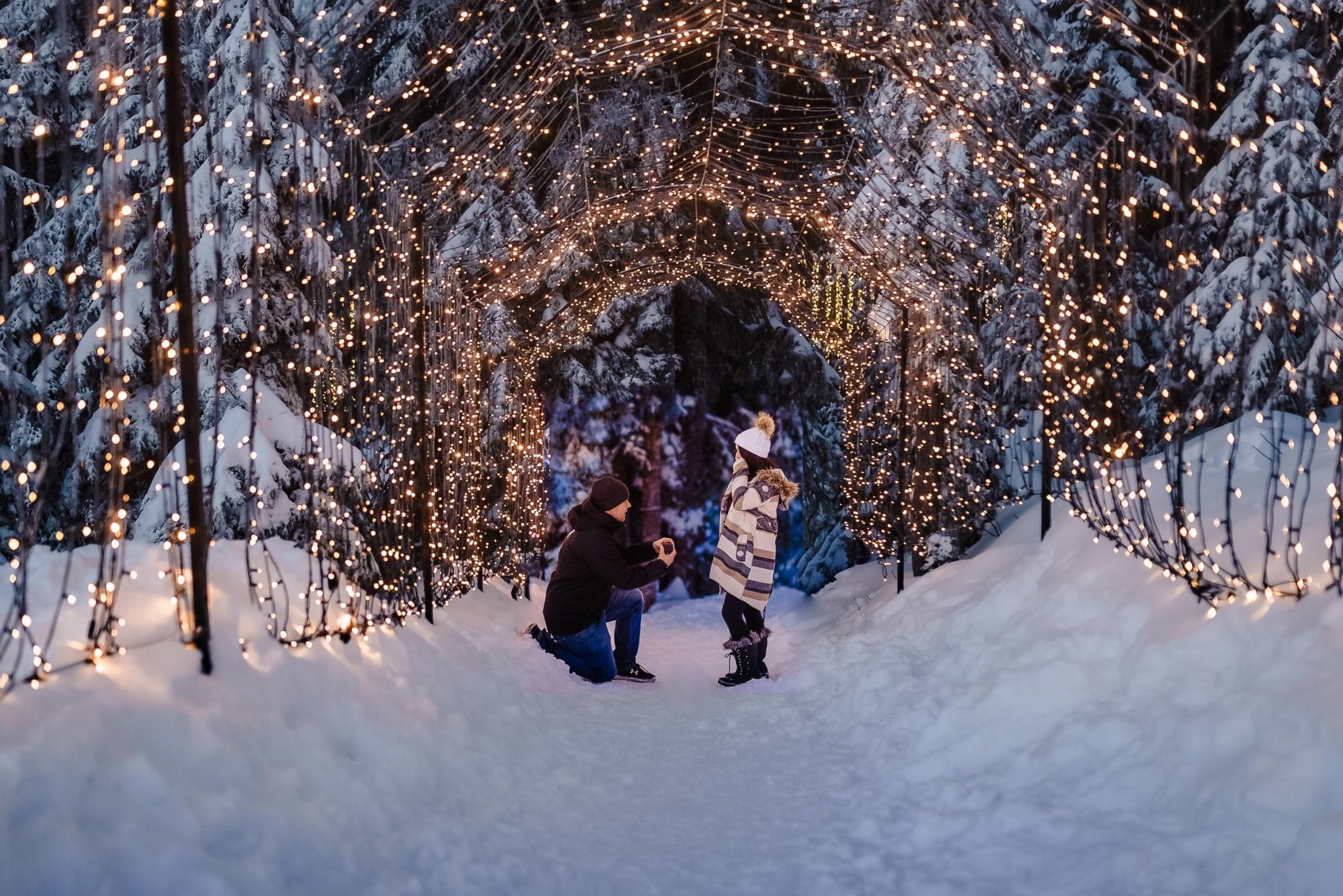 young man in his 20s kneels in the snow and presents a ring to his love under a magical canopy of Christmas lights during a secret proposal photographer fresh air photography