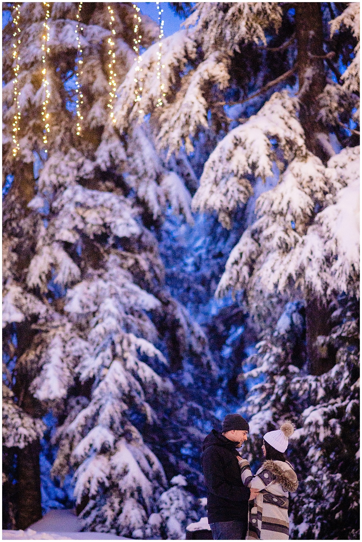 Newly engaged couple have a quiet moment amonst the snow covered trees on Grouse Mountain